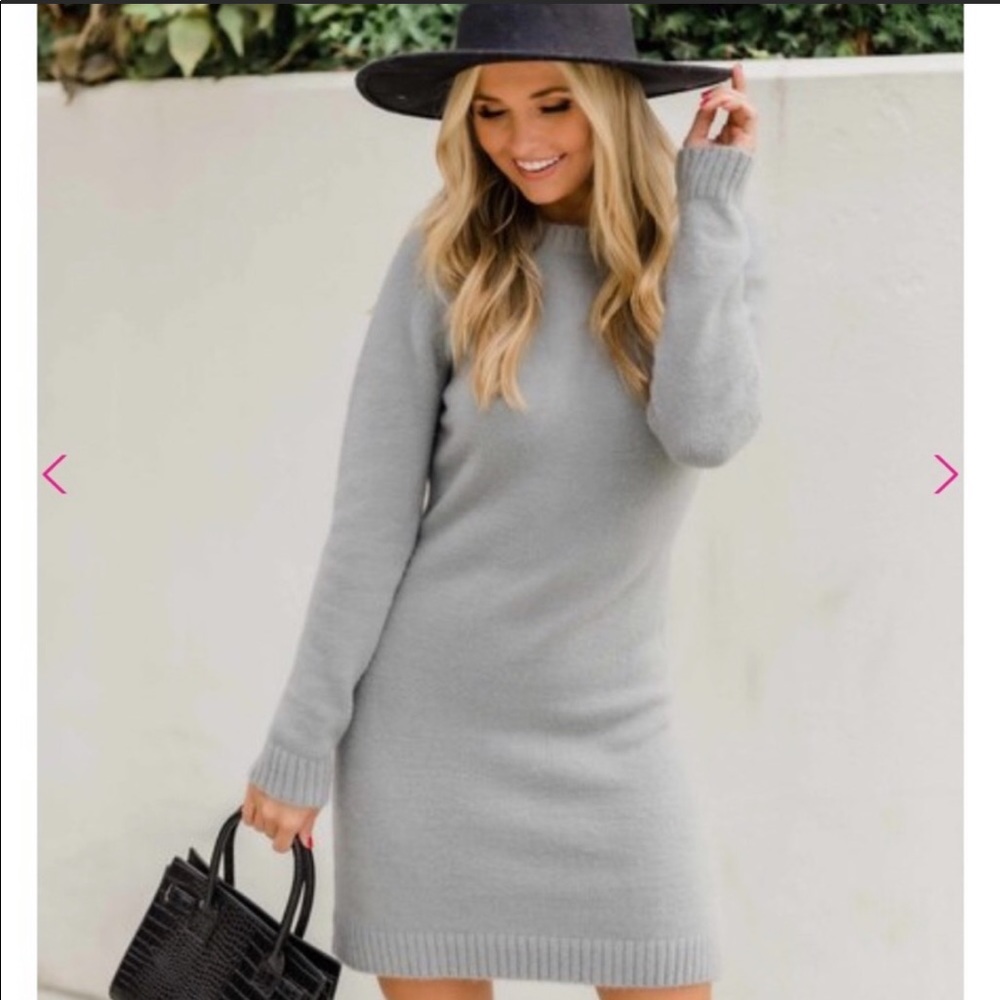 NWOT Pink Lily Sweater Dress